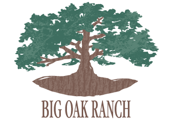 Big Oak Ranch